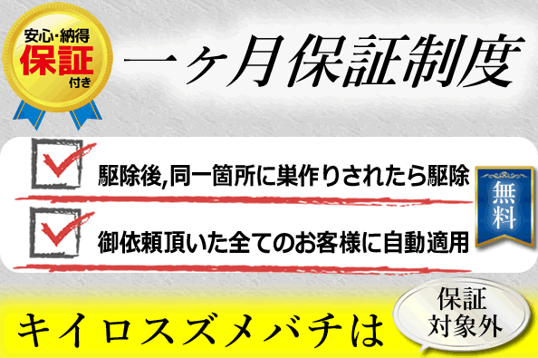 一ヶ月蜂の巣再発保証