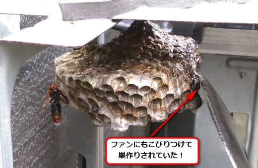 アシナガバチの巣駆除室外機