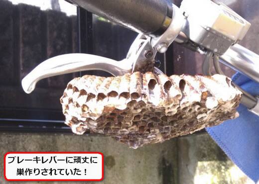 蜂の巣自転車ハンドル